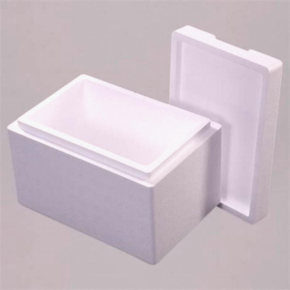 Thùng xốp và đá gel giữ lạnh